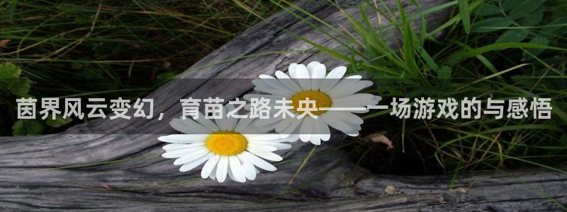 手机版长征娱乐客户端下载